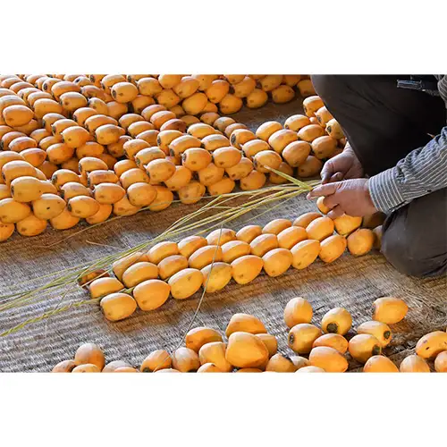 伊自良の高級干し柿 3種食べ比べセット 約630g [No.725] ※2027年1月～発送