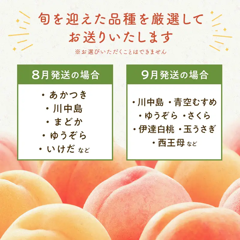 FYN9-731 ≪2027年先行予約≫ ご家庭用 8月発送 山形県産 品種おまかせ 白桃 約3kg(7～13玉) 2027年8月上旬から順次発送 果物 くだもの フルーツ 桃 もも ピーチ 白桃 はくとう 自宅 家庭 訳あり ワケアリ 支援品 山形県 西川町 月山