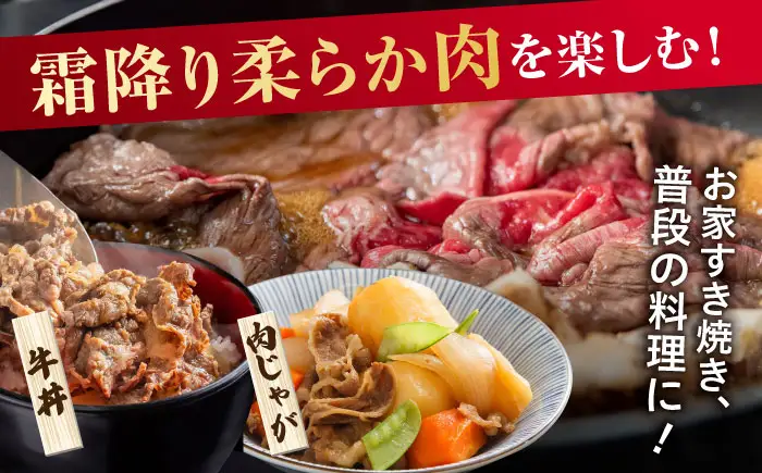 訳あり 佐賀産和牛 牛肉切り落とし 計1.2kg 牛肉切り落とし[FDB001]