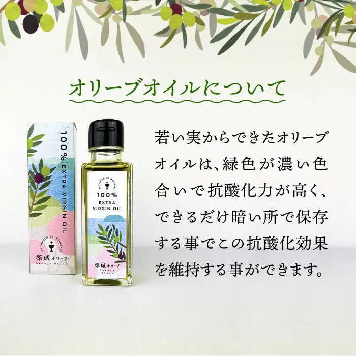 【12回定期便】原城オリーブ エクストラヴァージン オイル 100ml 2本 / 調味料 油 オリーブオイル オリーブ / 南島原市 / ミナサポ [SCW051]