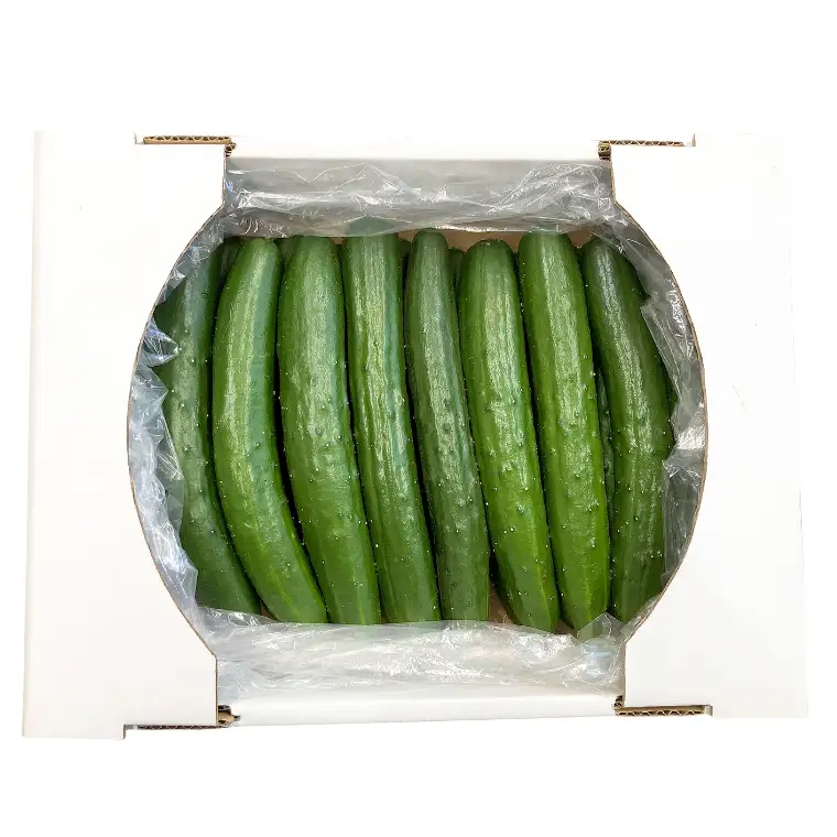 《 2027年 収穫分 》 スーパーフルーツトマト 大箱 約3kg （大玉20〜35玉）＆ 新鮮 きゅうり 約20本 セット 糖度9度以上 先行予約 フルーツトマト ブランドトマト 野菜 ギフト 贈答 [BC062sa]