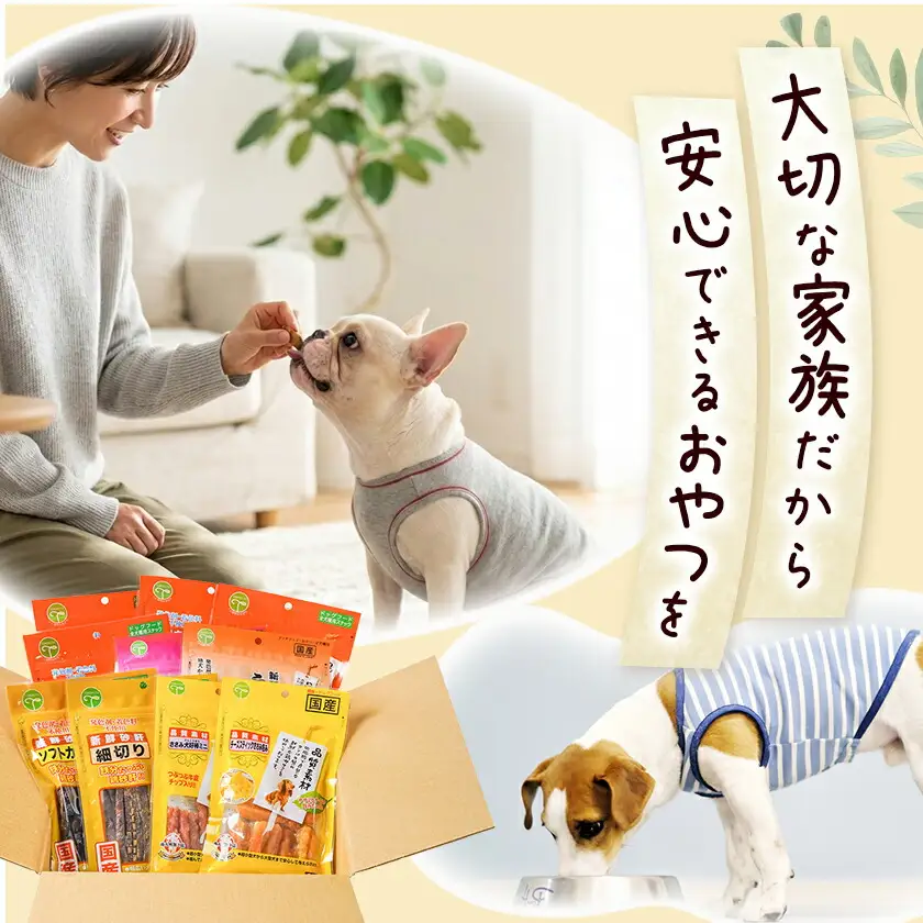 わんちゃんのおやつ★ごほうび10袋セット〔AA-G703〕_(都城市) 国産 犬用おやつ ごほうび 10袋セット 細切りソフト うす切りソフト ふりかけササミ＆チーズ  超やわらか巻きガムミニ ふわふわ削り節 ソフトカット 細切り チーズスティックささみ包み ささみ犬好棒ミニ