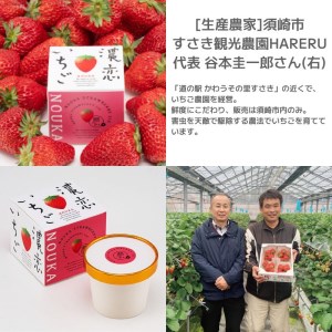 濃恋(こいこい) いちごアイス 6個 アイスクリーム アイスクリーム アイスクリーム