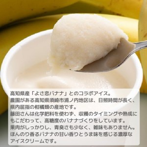濃恋(こいこい) アイス 2種セット 計6個 いちご 3個 バナナ3個 アイスクリームアイスクリームアイスクリーム