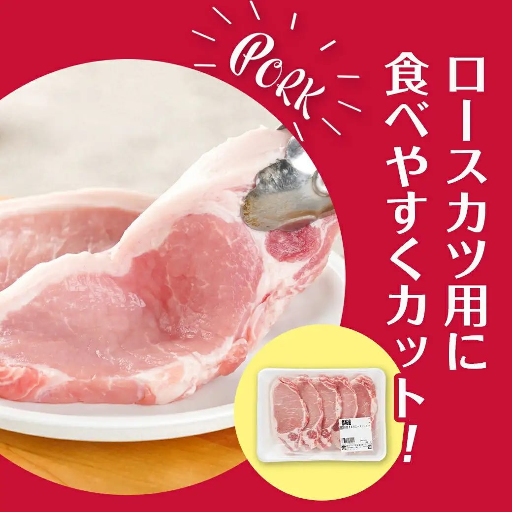 都城美鮮豚ロースカツ用10枚セット〔AA-5402〕_(都城市) 豚 豚ロース 100g×5枚 合計10枚 とんかつ
