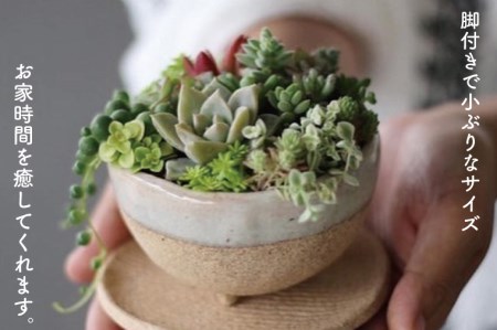 【益子焼】植木鉢セット(植木鉢とトレーのセット)?2セット｜多肉植物 寄せ植え 苔玉 ミニ盆栽 癒しのアイテム（BU001）