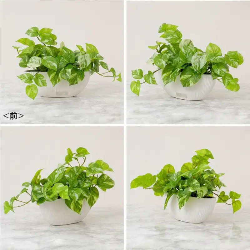 エミリオ・ロバ ポトス アーティフィシャルグリーン Lサイズ 造花 観葉植物 水やり不要 インテリア