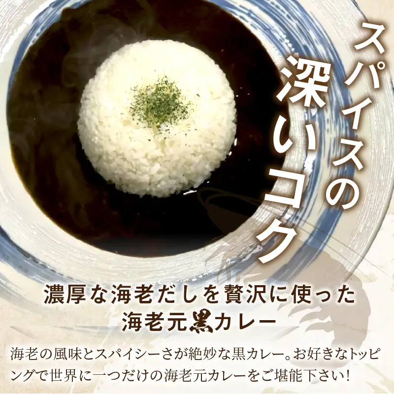 濃厚海老出汁 海老元カレー【黒】（中辛）3個セット（レトルト 常温 簡単調理 レトルト食品 レトルトカレー かれー カレーセット セット カレー 人気カレー 詰め合わせ 加工食品 お手軽 おすすめ 人気 泉南市 海老だし 濃厚海老だし）【078E-013】