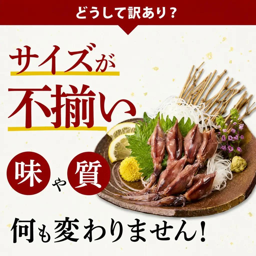 【訳あり】 ホタルイカ ほたるいか 1kg（250g×4パック）いか イカ 07-95