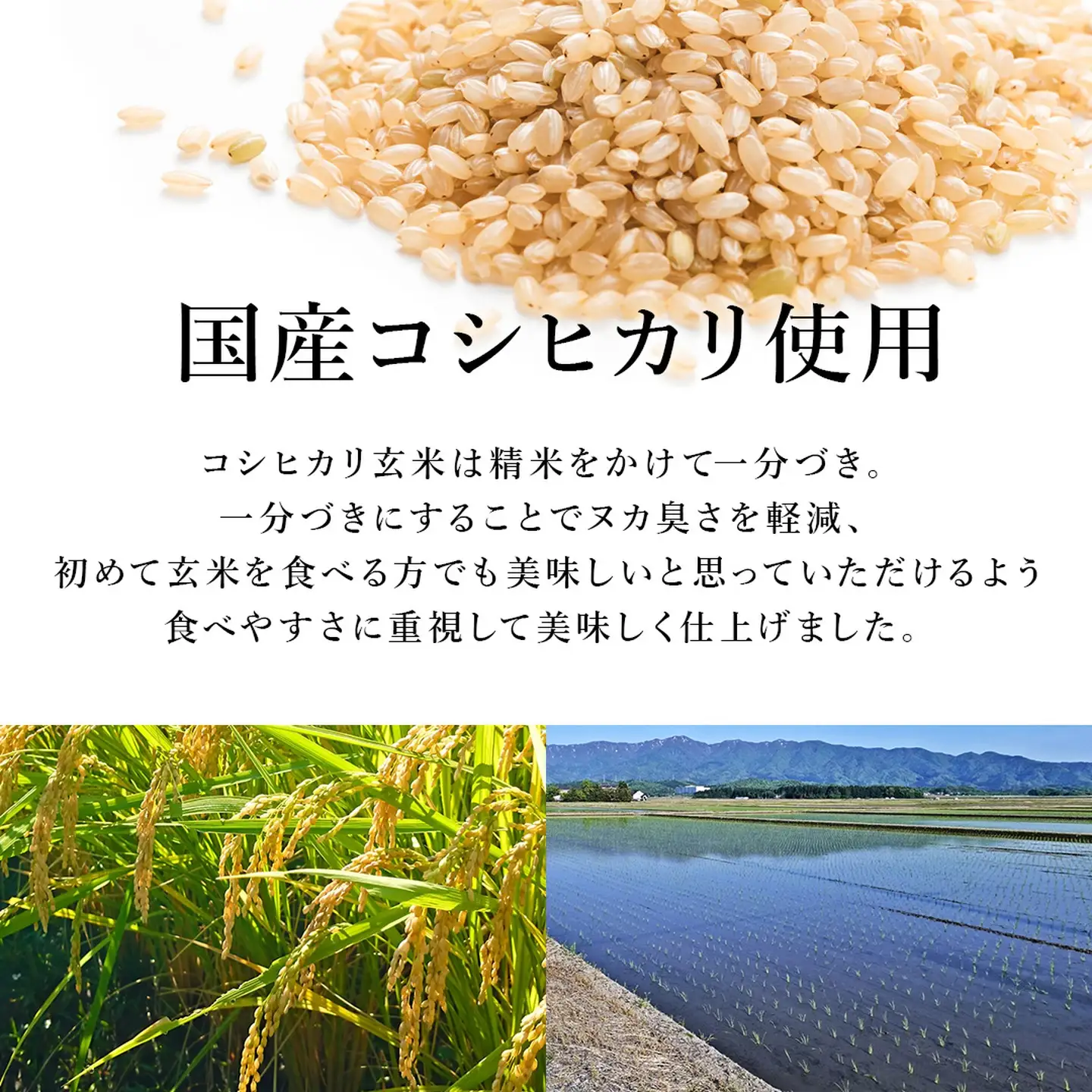 【パックご飯】 玄米 国産こしひかり 一分づき 120g 計24個 パックご飯