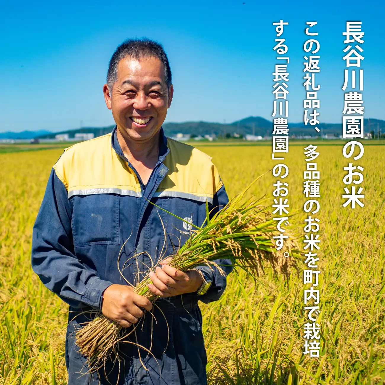 北海道 お米 食べ比べ 1kg×5品種 合計5kg  ゆめぴりか ななつぼし ゆきさやか おぼろづき 北海道米 彩 長谷川農園 お米食べ比べセット 味比べ【B-002】