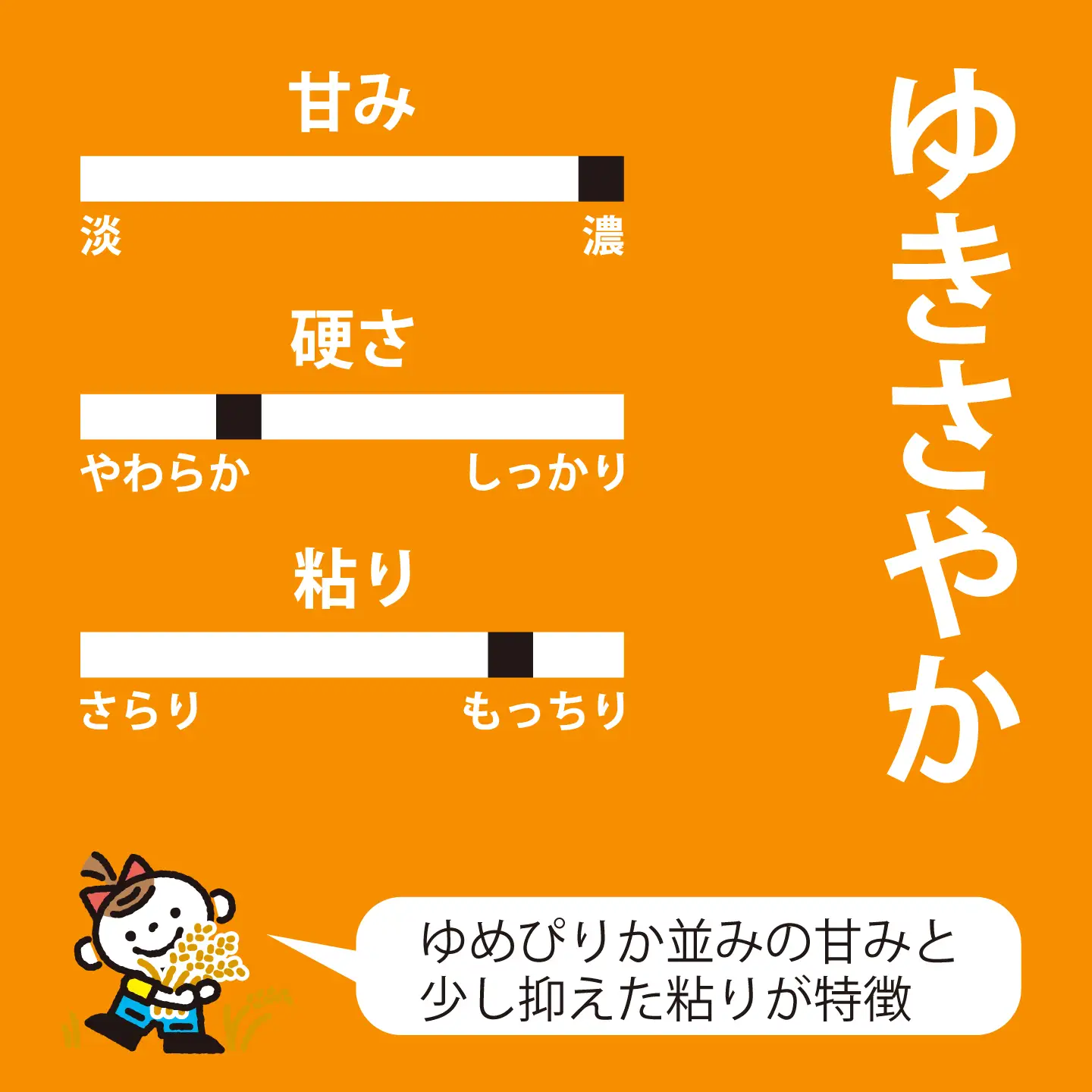 【令和6年産】ゆきさやか 10kg×3回コース〈定期便〉精米 北海道当麻町 長谷川農園【U-009】