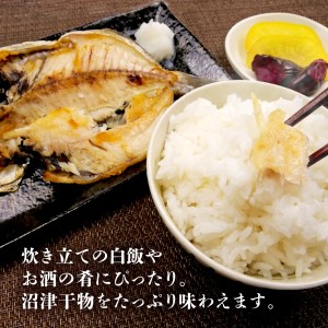 珍味 イカトンビ 一夜干し と沼津加工干物詰め合わせセット 干物セット お中元 お歳暮 母の日 父の日 のし対応