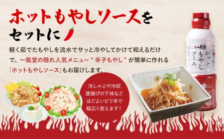 豚骨ラーメン 一風堂 8食 ソース付き ラーメン