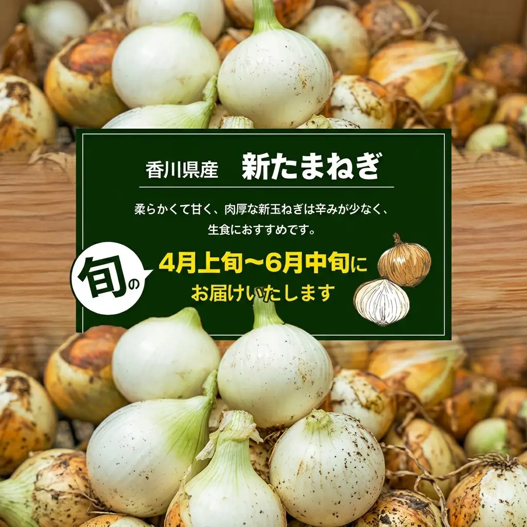 新玉ねぎ 香川県産 令和8年産 新玉ねぎ【約5kg 2L〜M】 【46311146】