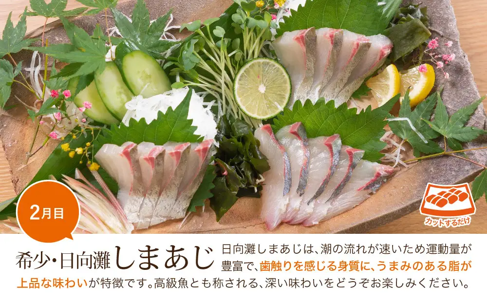 【北海道・離島配送不可】＜定期便・全3回(連続)＞旬の鮮魚(3ヶ月コース)お刺身   海鮮  真空パック 【UZ-01】【請関水産】