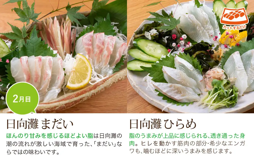 【北海道・離島配送不可】＜定期便・全3回(連続)＞旬の鮮魚(3ヶ月コース)刺身 柵 【UZ-02】【請関水産】