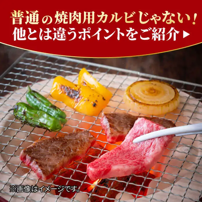 佐賀牛 カルビ 焼肉用 500g×2 計1kg  吉野ヶ里町/NICK’S MEAT[FCY011]