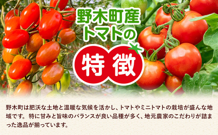 トマト小箱約2kg+ミニトマト小箱約1.5kg食べ比べ野菜新鮮矢畑