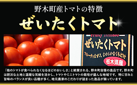 トマトぜいたくトマト約1.5kg小箱矢畑