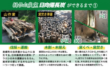 備長炭 緑仙白炭窯 日向備長炭 バーベキュー 用 2.5kg