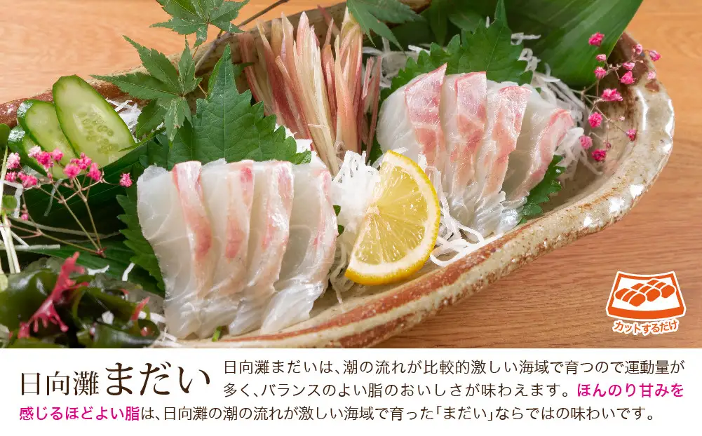 【北海道・離島配送不可】新鮮！真鯛としまあじのお刺身セット(合計約800g～1kg)魚介 海鮮  詰合せ【UZ-07】【請関水産】