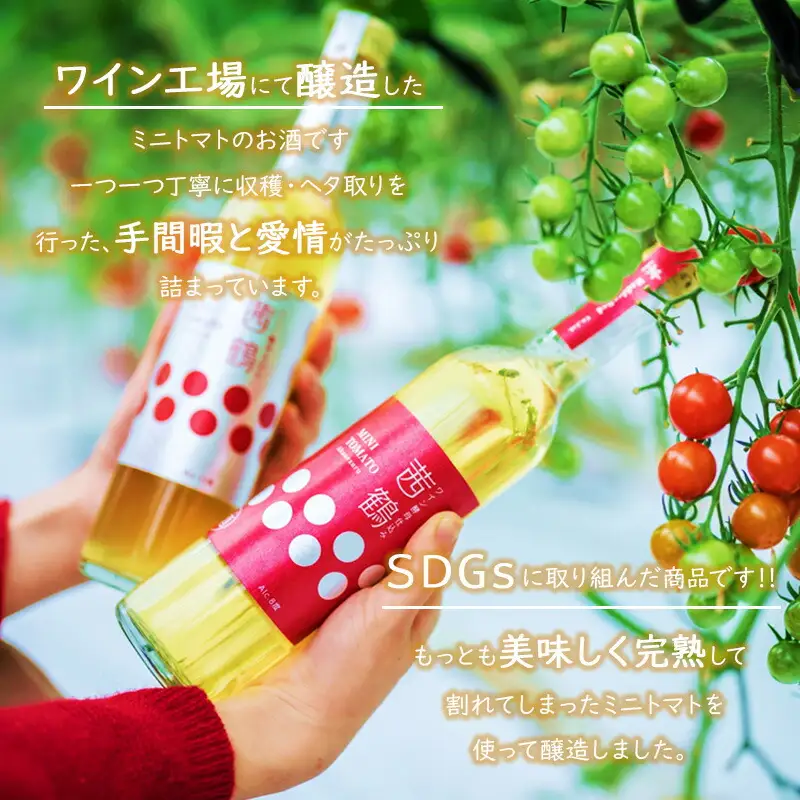 ワイン酵母仕込み茜鶴ミニトマトのお酒辛口200mlと宮トマト500gのセット / 酒 お酒 アルコール 甘口 辛口ミニトマト トマト / 諫早市 / 株式会社宮下農園  [AHCG005]