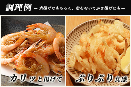 【有明海産 アミエビ使用】あみ漬け 6パック ＆ 冷凍芝エビ（真エビ）3kg【鮮度抜群】C-98