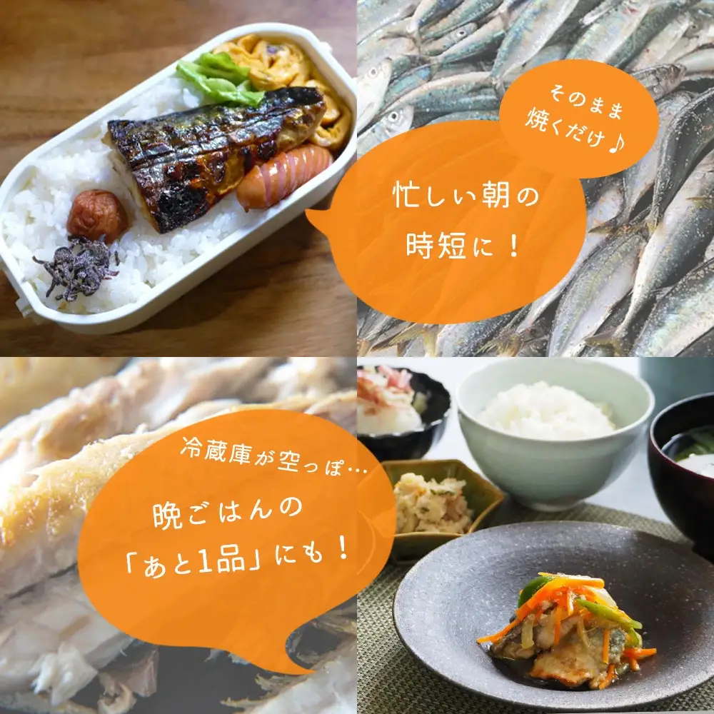 さば 塩さばフィレ 1kg フィレ 切り身 切身【uot763B】