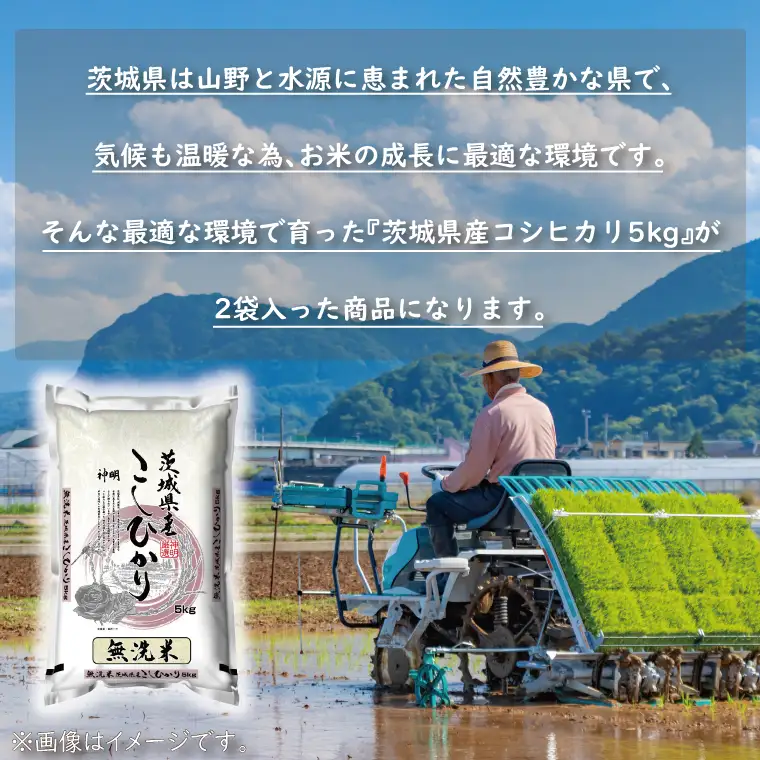 令和7年産 無洗米 茨城 コシヒカリ 10kg (5㎏×２袋)  米 精米 茨城県産_CU002