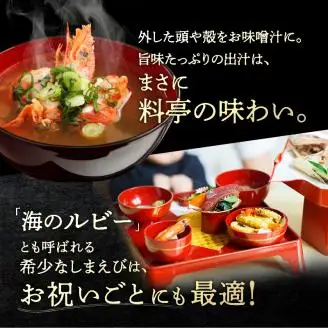 北海しまえび(大) 300g×2箱 えび_H0001-1231