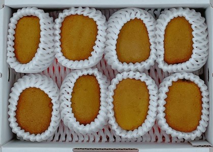 みかん 愛媛 デコポンとグリーンキウイのセット 人気 数量限定 柑橘 伊予市｜B106