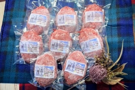 神の鹿バーグ ８個入 鹿バーグ ハンバーグ エゾシカ 洋食 ジビエ 北海道 函館市 ふるさと納税 お取り寄せ 送料無料_HD085-037