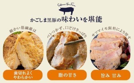 BS-870 かごしま黒豚ロース肉の味噌漬けと塩麹漬け10枚セット（ご自宅用各5枚） SDGs未来都市薩摩川内 薩摩八重ファーム 工房みかく亭