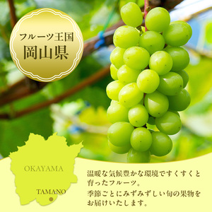 フルーツ 定期便 2027年 先行予約 フルーツ王国 岡山 厳選 果物 （7月 9月 10月）3回コース 桃 もも 葡萄 ぶどう 岡山県産 国産 セット ギフト ニューピオーネ シャインマスカット 晴王 旬の果物 