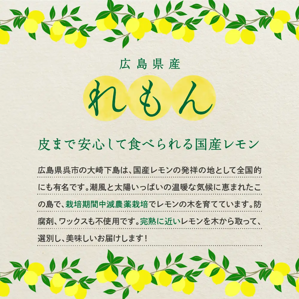 先行受付 2026年11月～発送 広島県産 レモン 約2.5kg