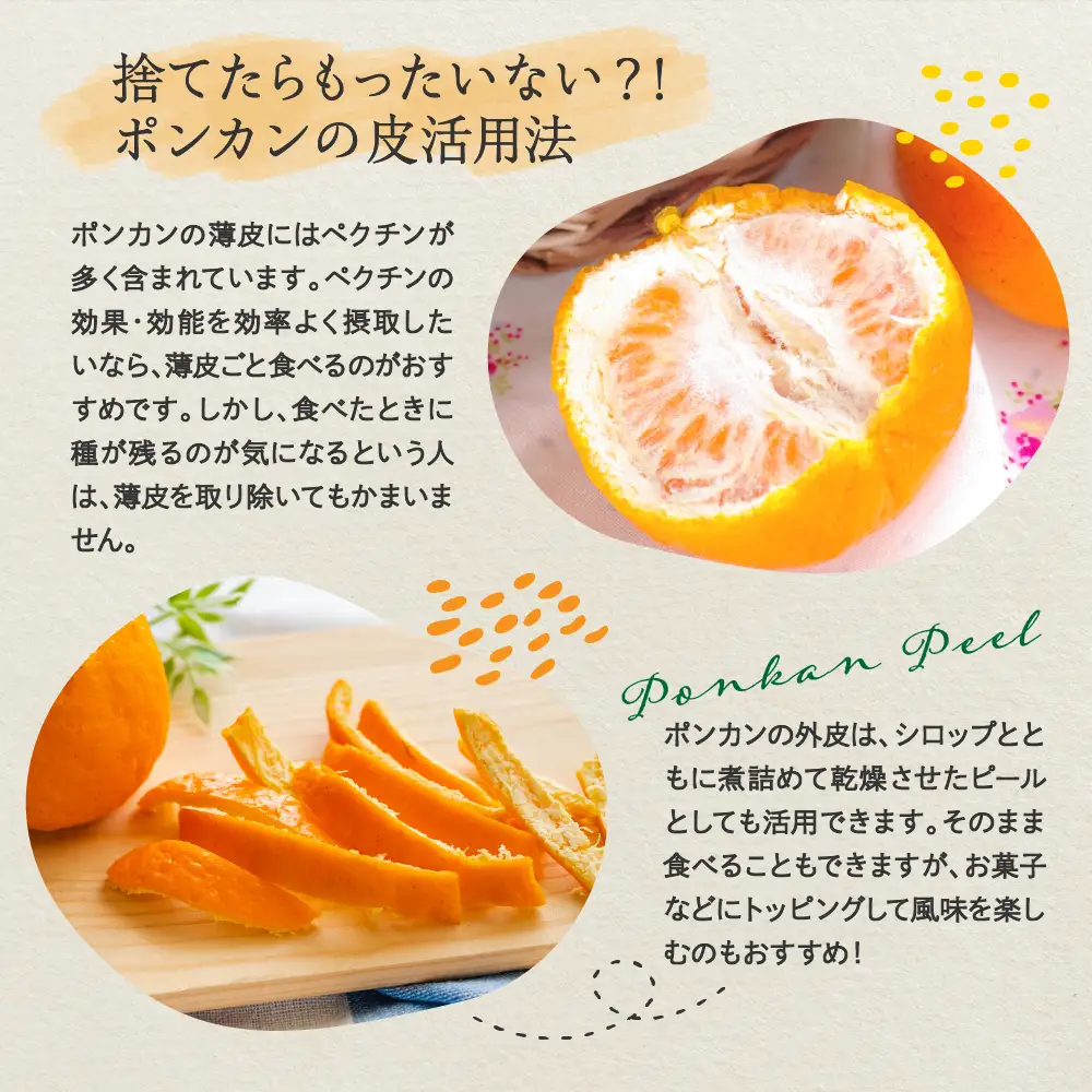 先行受付 2027年1月中旬～発送 ポンカン 約5kg 上神農園