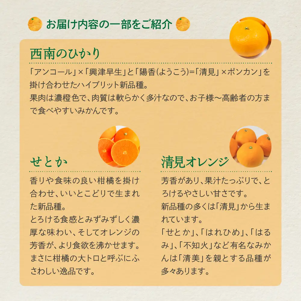 【先行受付】【2026年11月中旬～発送】上神農園 旬の柑橘詰め合わせ約10kg