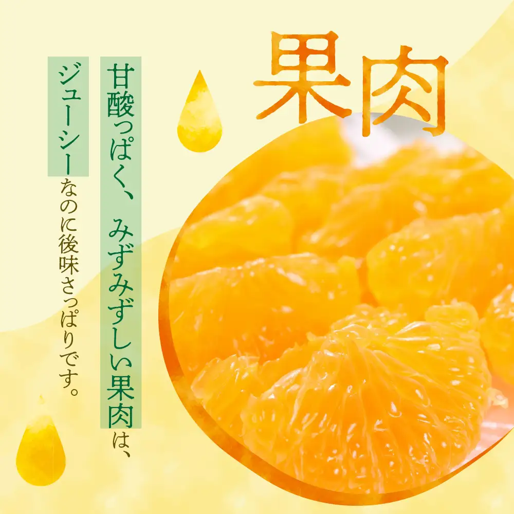 【2026年10月上旬～発送】川田柑橘園 呉市大長産 「極早生みかん」5kg ku055-004-26