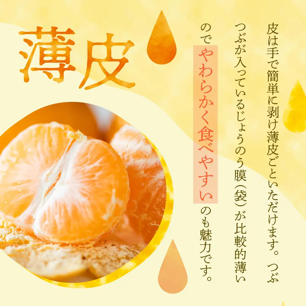 【先行受付】【2026年11月上旬～発送】川田柑橘園 広島大長産 「早生みかん」5kg ku055-005-26