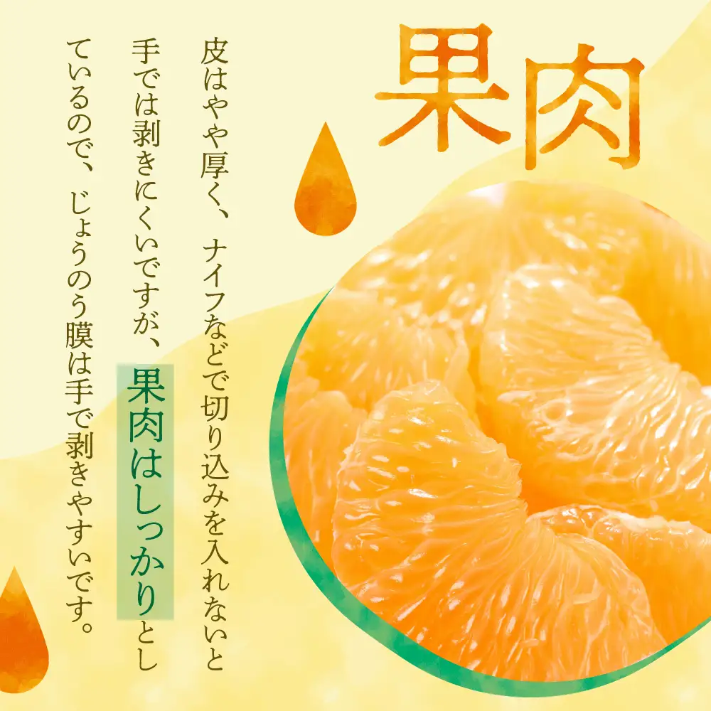 先行受付 2027年1月下旬～発送 紅八朔4kg 川田柑橘園 広島県産