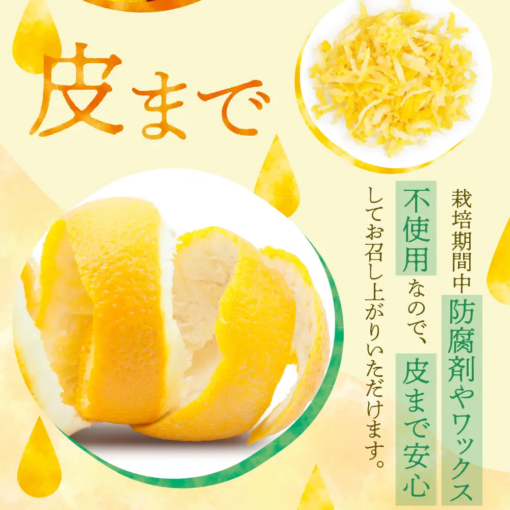 【先行受付】【2027年1月上旬～発送】川田柑橘園 広島県産 「瀬戸内レモン」5kg　れもん 檸檬 国産 広島県 呉市 ku055-015-26