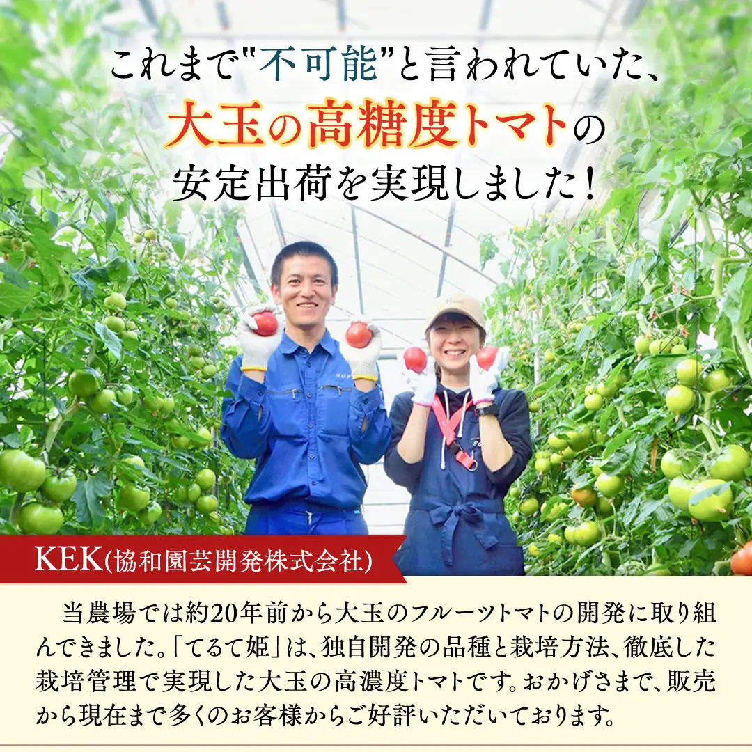 《 2027年 収穫分 》2～6月配送 スーパーフルーツトマト てるて姫 小箱 約800g × 1箱 【7～13玉/1箱】 糖度9度以上 先行予約 フルーツトマト ブランドトマト 野菜 ギフト 贈答 青空レストラン アド街ック天国 グッドモーニング 黄金のワンスプーン 昼めし旅 [BC065sa]