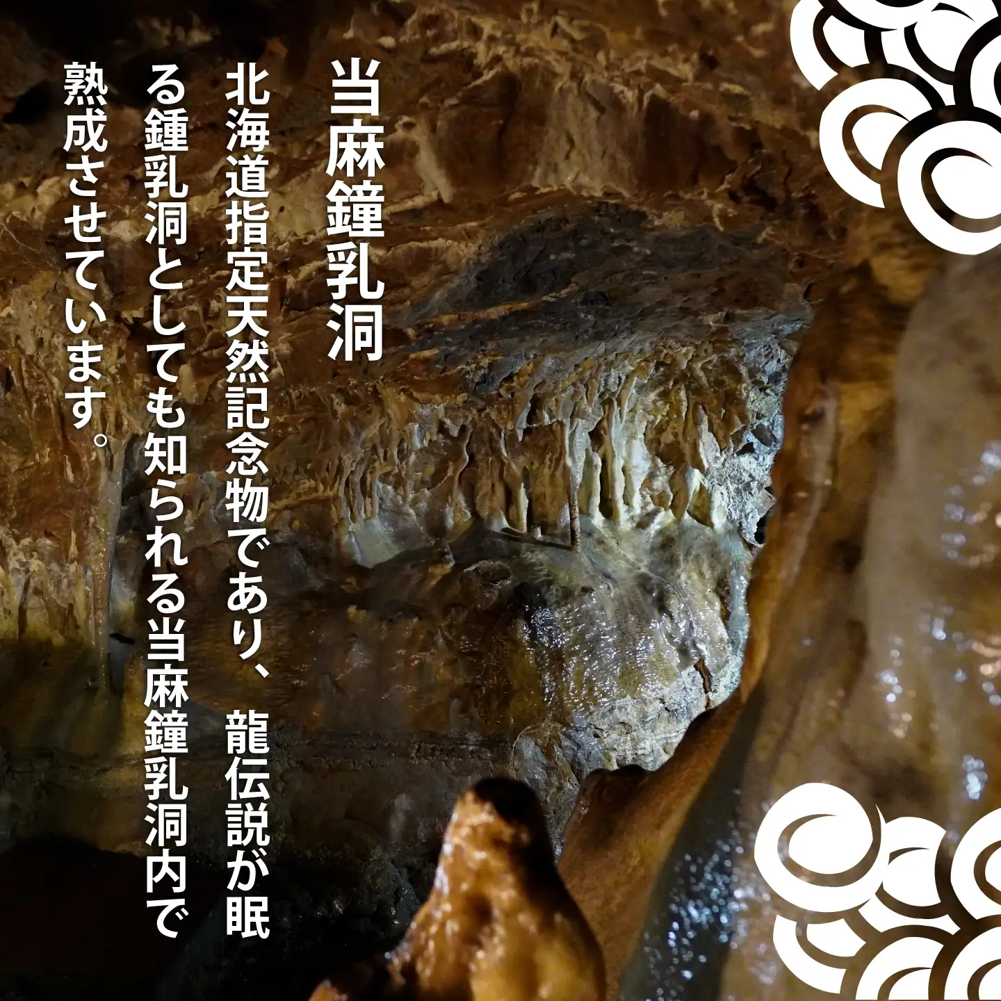 令和８年産先行受付 日本酒 純米大吟醸酒 のし対応 純米大吟醸酒「龍乃泉」 鍾乳洞熟成 数量限定 お酒 酒  無くなり次第終了 ギフトにおすすめ 父の日 お中元 敬老の日 プレゼント 特別な日に 感謝 限定販売 ワイングラス に合う【B-008】