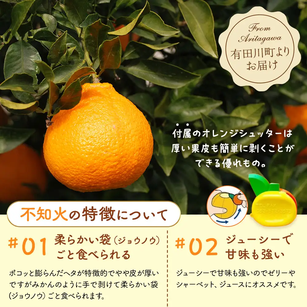 不知火 とにかく 小玉 箱込 2.5kg (内容量約 2.3kg) 秀優品混合 和歌山県産 産地直送［みかんの会］