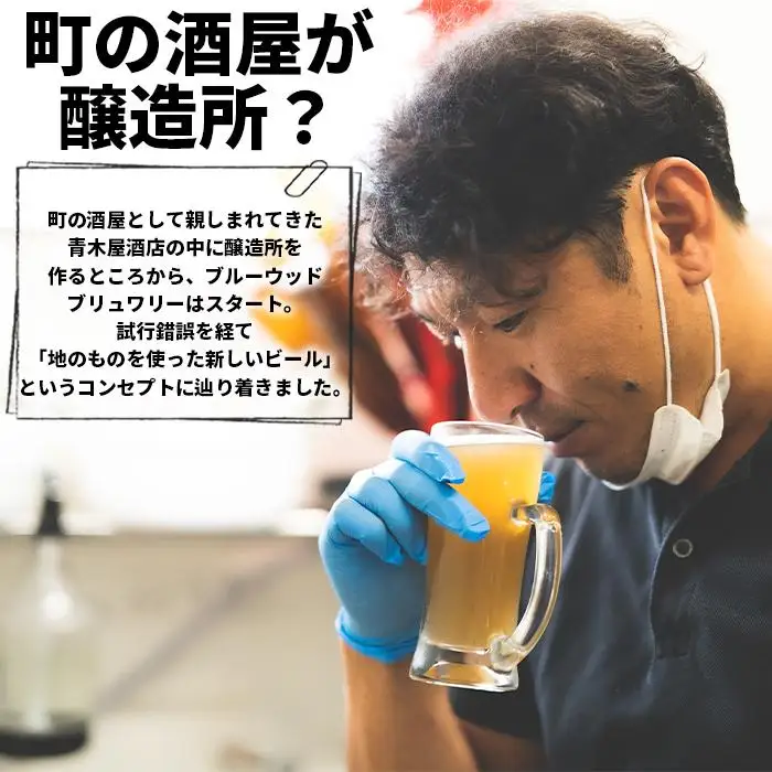ブルーウッドブリュワリー定番と季節のおすすめセット（計6本）【3か月定期便】