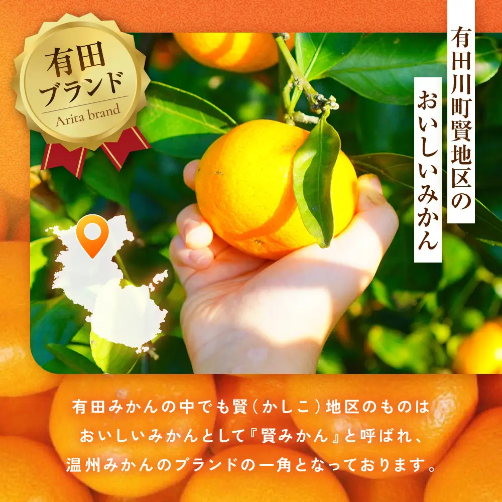 ［秀品]有田のブランド「賢みかん」10kg(Sサイズ)［2026年11月中旬頃より順次発送］