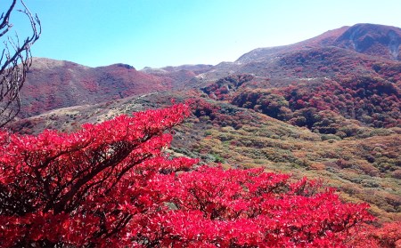 ガイドと楽しむ牧ノ戸峠から久住山 登山チケット 1枚6名様まで