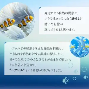 【大人1枚+こども1枚】生きているミュージアムNIFREL入館券
