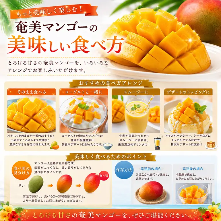 【2026年 観光雑誌付き】奄美産マンゴー 秀品・美玉2kg とろける甘さの黄金果肉 樹上完熟 A052-020